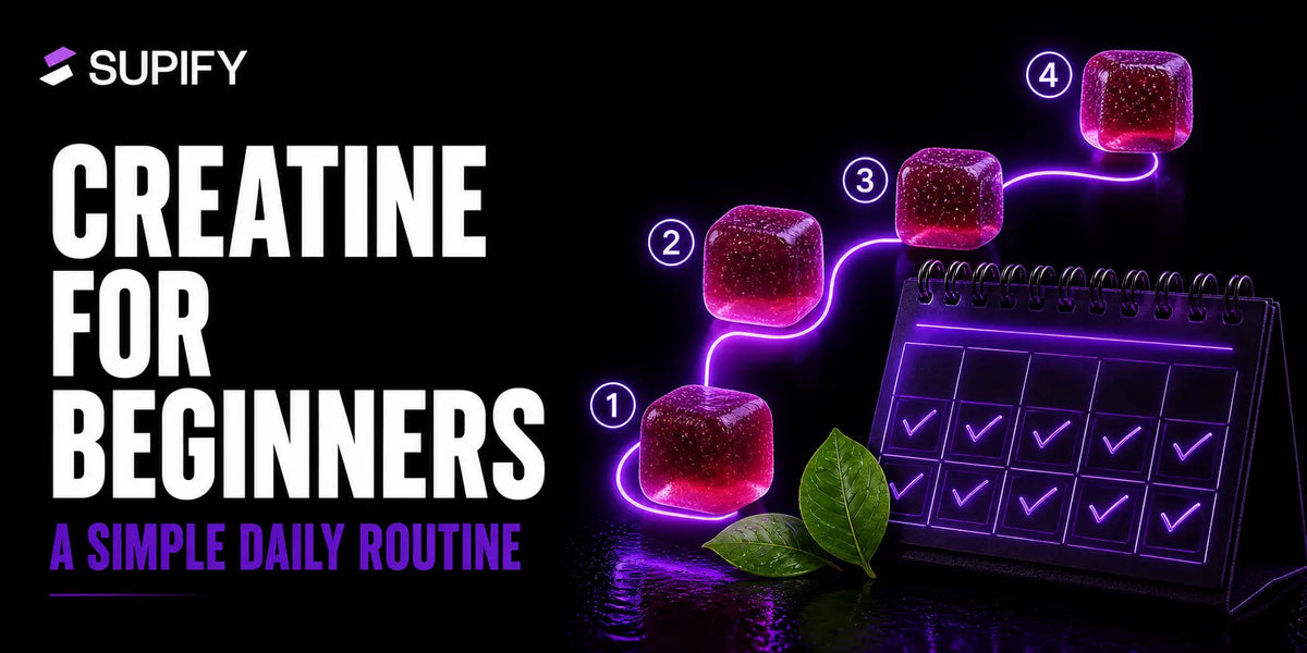 Supify Performance Journal cover: creatine for beginners and a simple daily routine