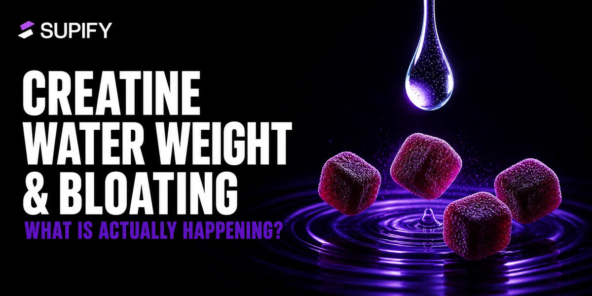Supify Performance Journal cover: creatine water weight and bloating