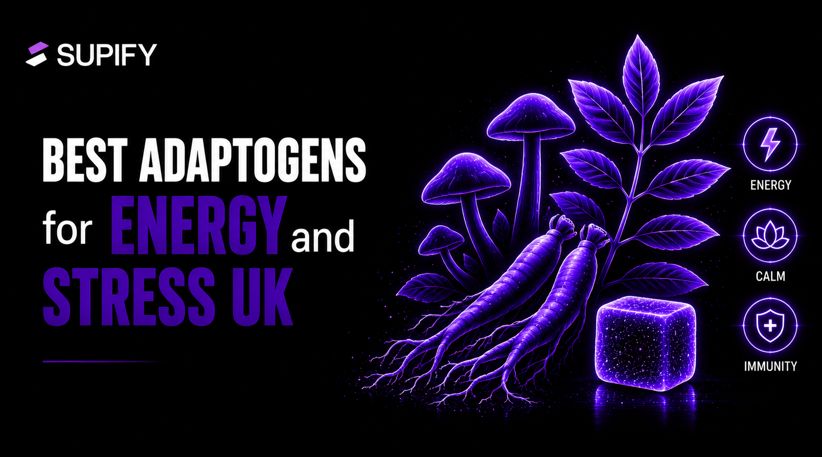 Best Adaptogens for Energy and Stress UK Supify cover