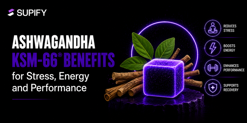 Ashwagandha KSM-66 Benefits Supify cover